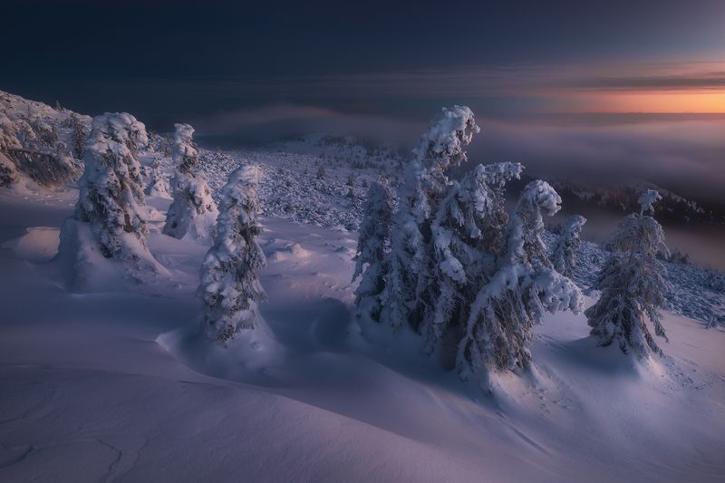 New light фото превью