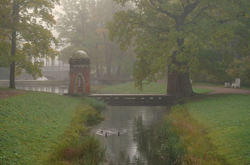 Foggy morning фото превью