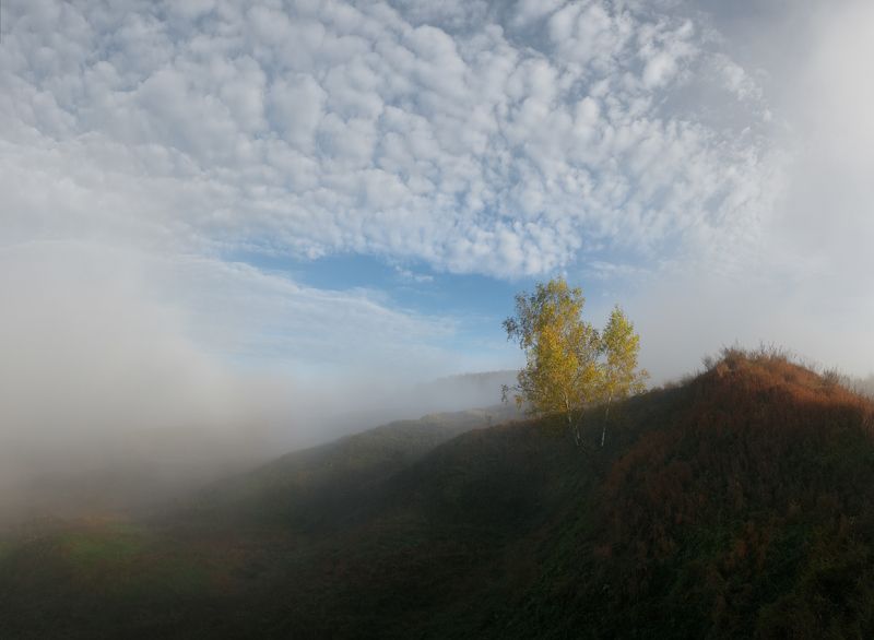 #пезаж #осень #туман #рассвет  фото превью