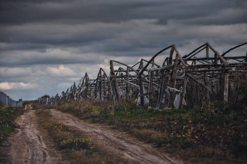 Дорога в страну Оз