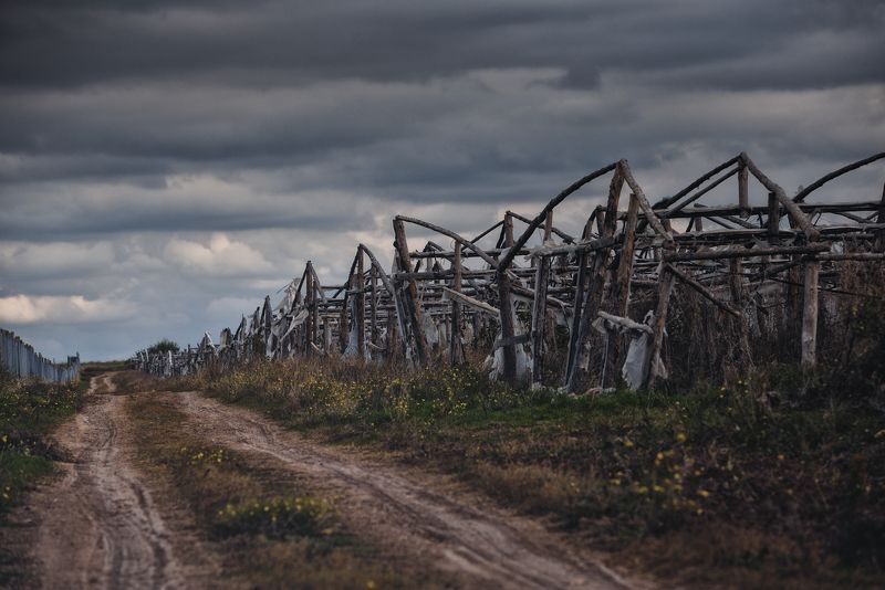 поле, дорога, заброшенность Дорога в страну Оз фото превью
