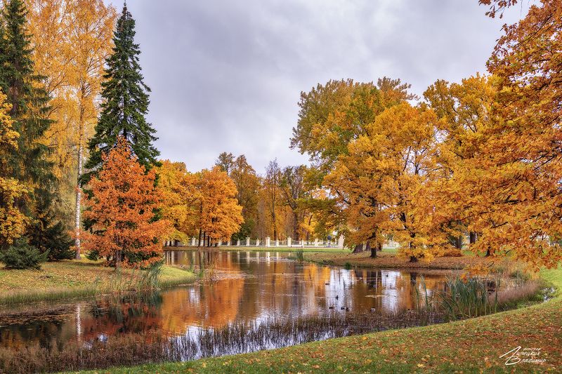 парк, ораниенбаум, осень Парк Ораниенбаум фото превью