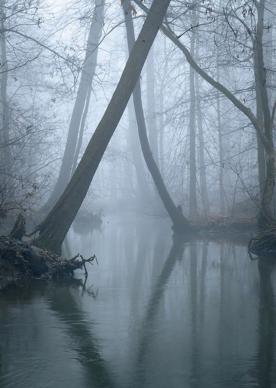 Fog фото превью