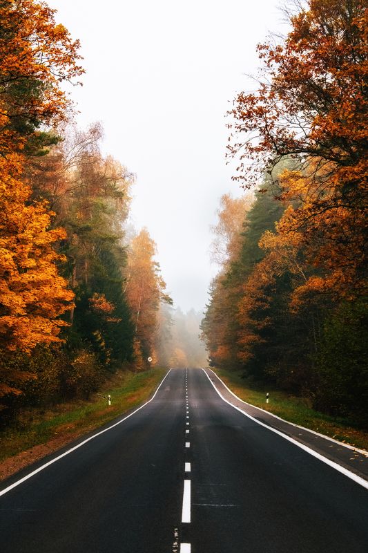 Осень фото превью