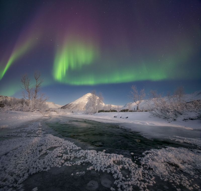 Искры света. фото превью