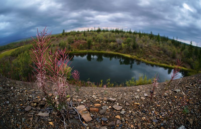 фото превью