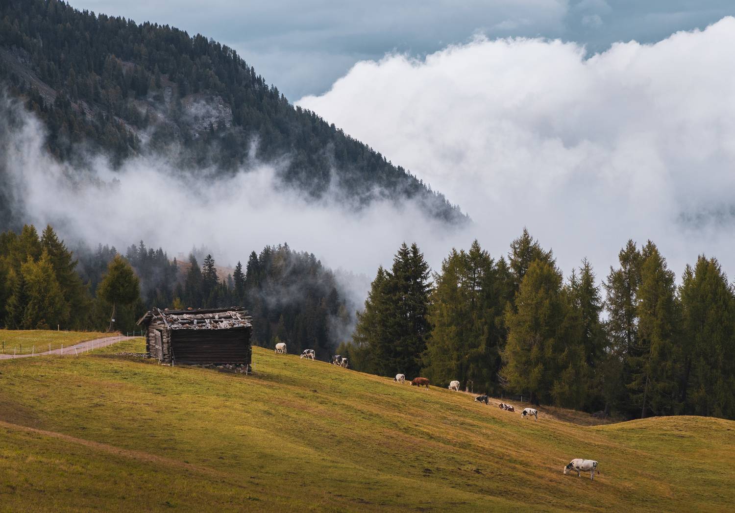 , Алекс Римский