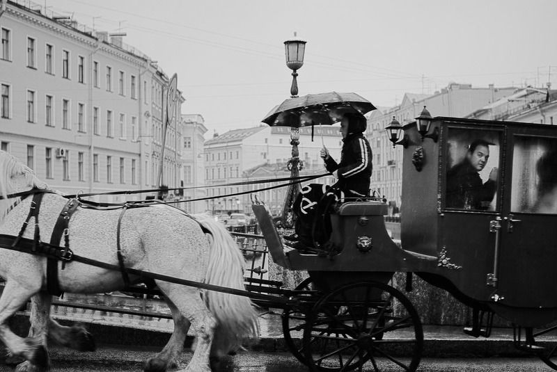 527 фото превью