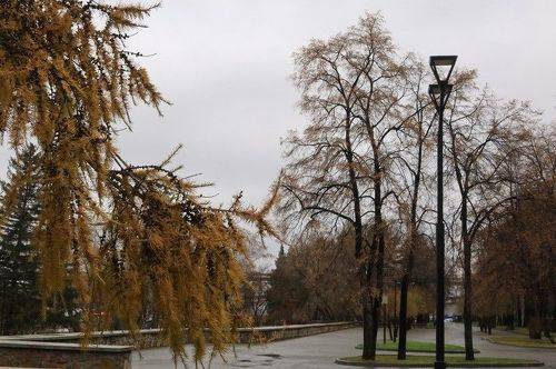 Любимая осень