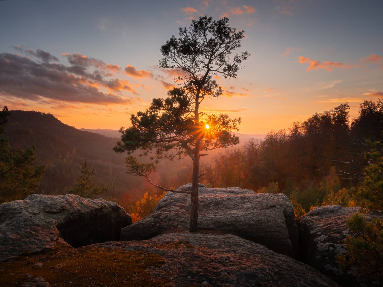 czechia,czech republic,kokorin,hikikng,sunset,tree,lone tree,autumn,leaves,microfourthids, Slavom&iacute;r Gajdo&scaron;