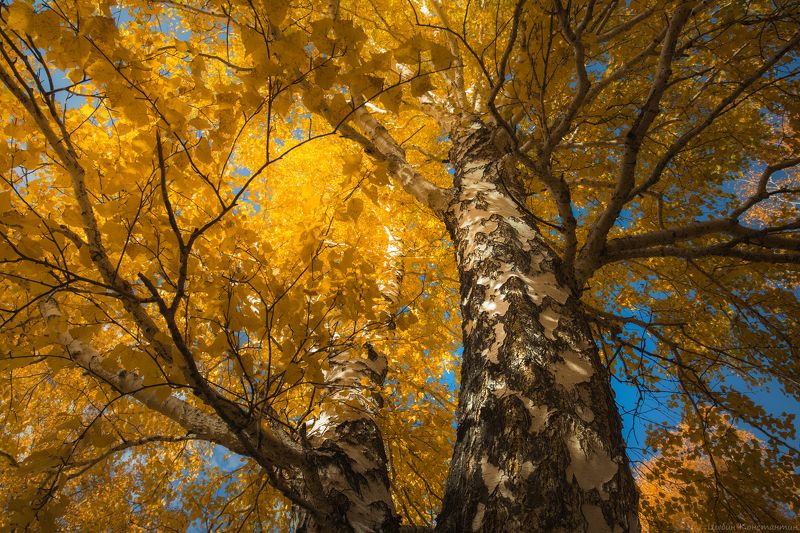 Золотая осень в Башкирии фото превью