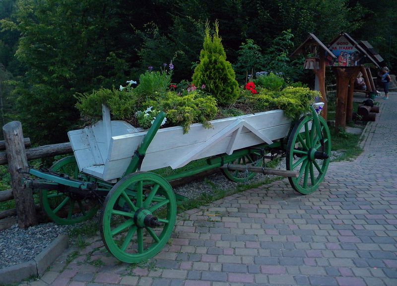 фото превью