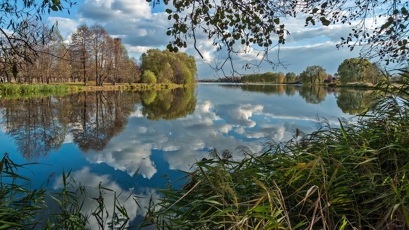На озере фото превью