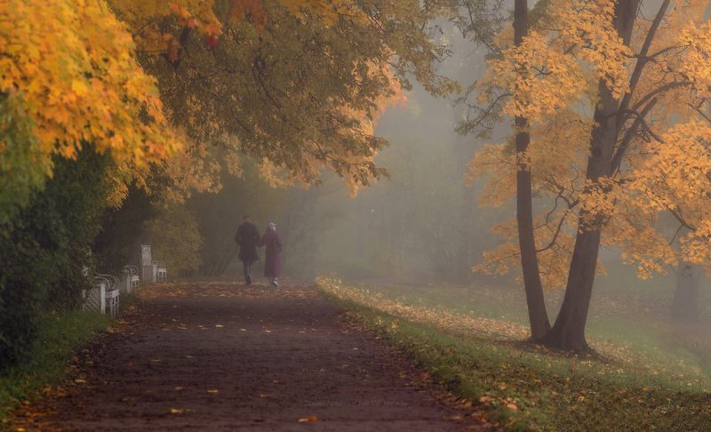 Путешествие в осень фото превью
