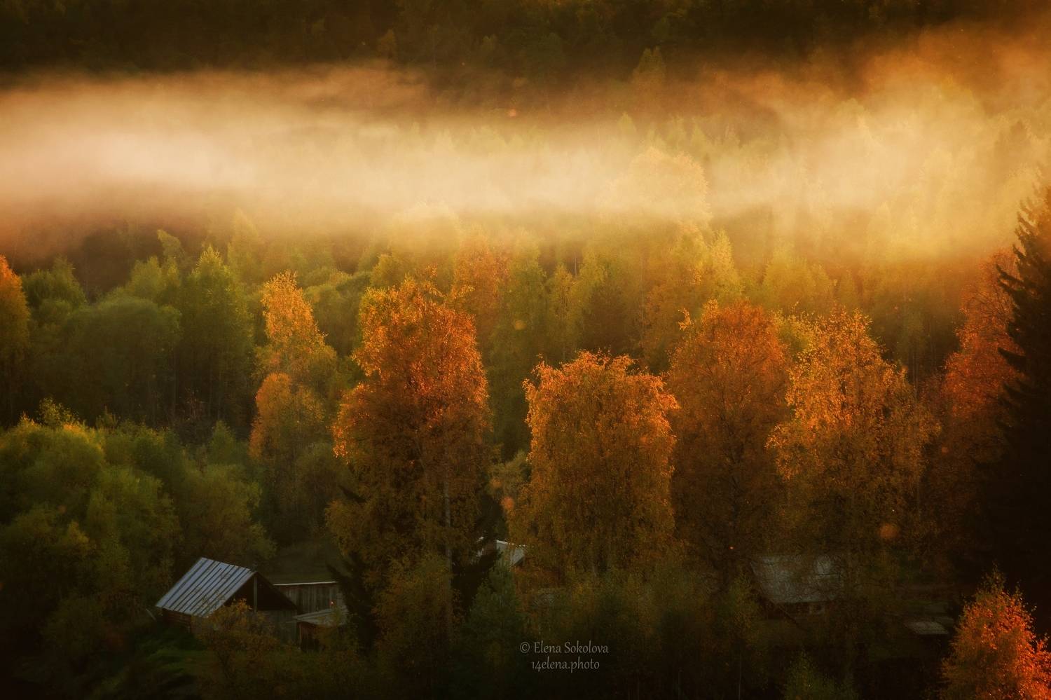 ушма, осень, пейзаж, Соколова Елена