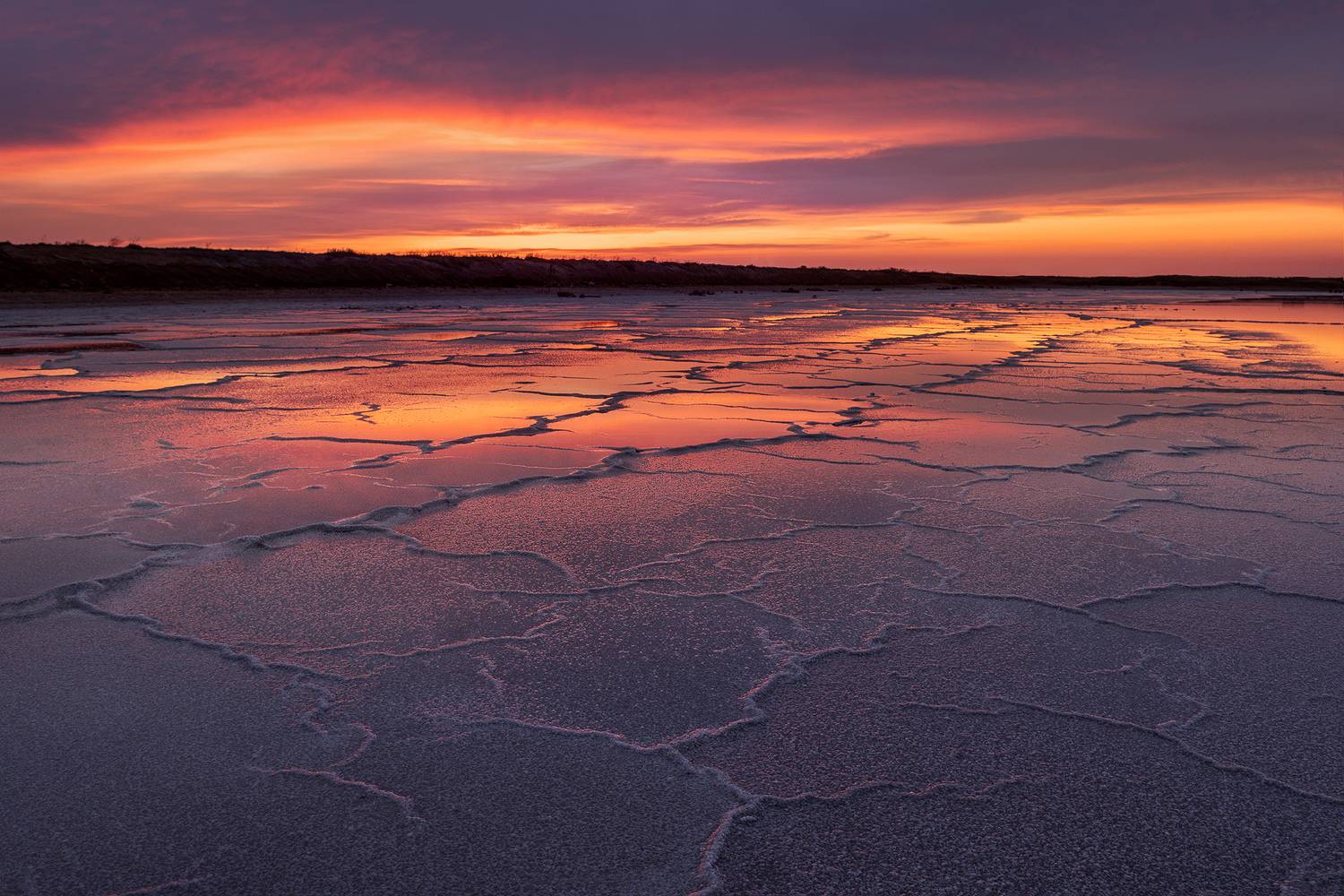 , Дмитрий Купрацевич