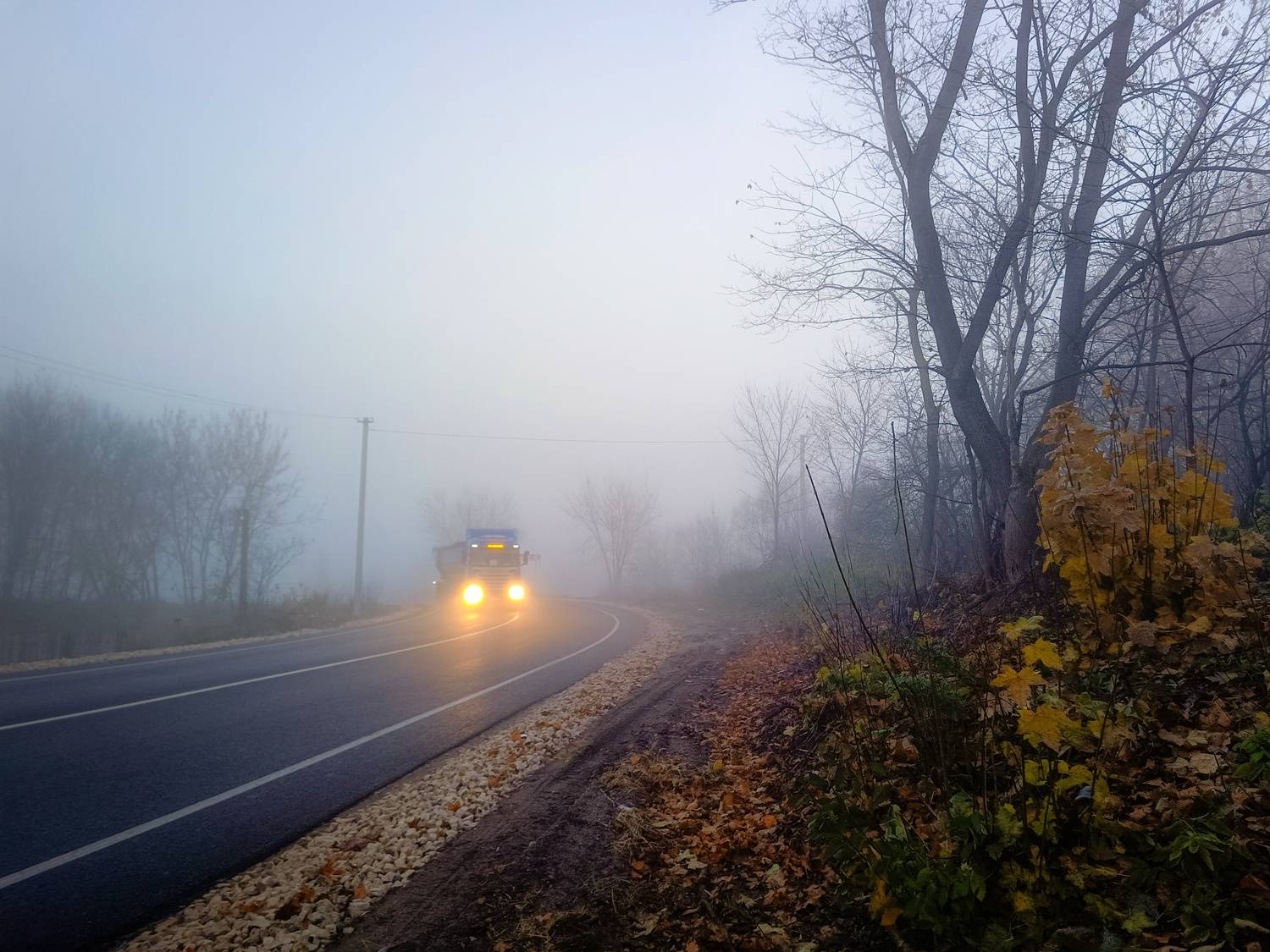 , Кондрашова Светлана