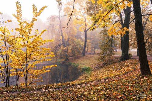 Пушкин. Александровский парк