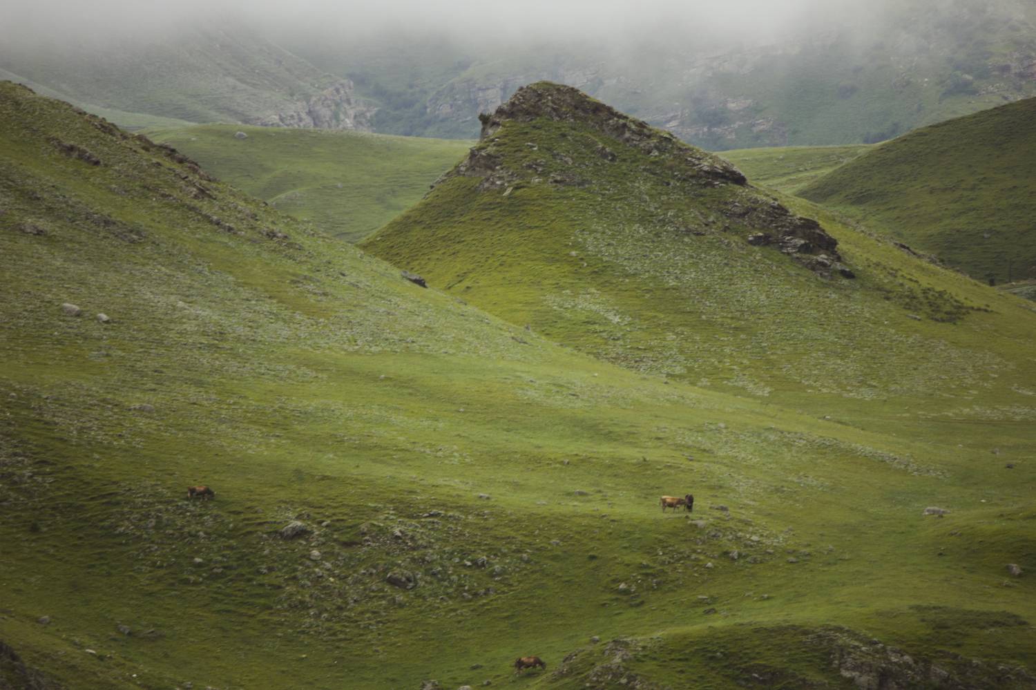 , Зоя Мумина