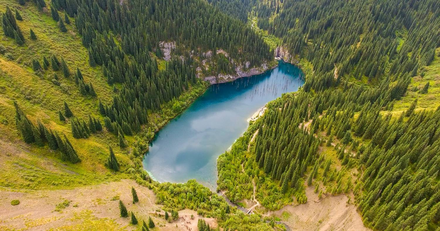 , Павел Швец