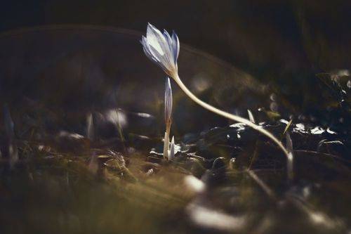 Осеннее таинство.