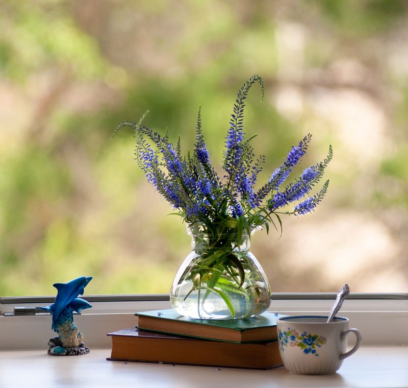 *** фото превью