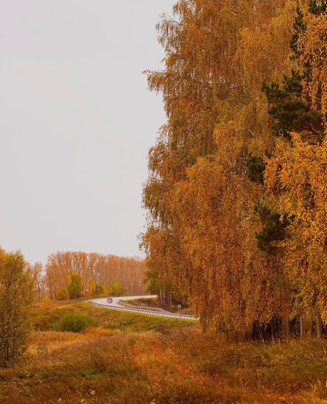 Осенняя дорога фото превью