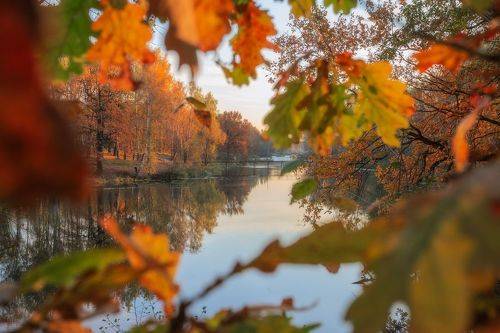 Золотая осень