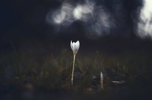 Осеннего таинства явь.