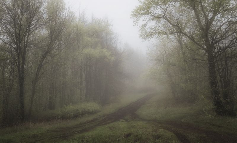 Майское утро фото превью