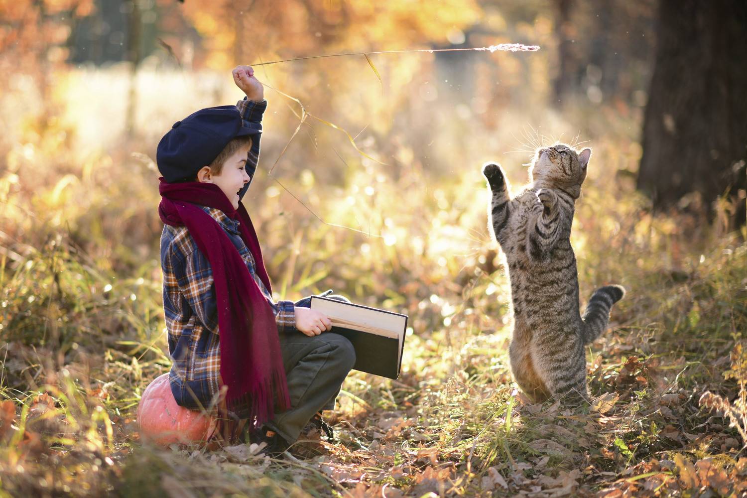 дружба, кот, мальчик, осенний день, детство, Ирина Ефимова