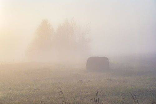 Ничего лишнего.