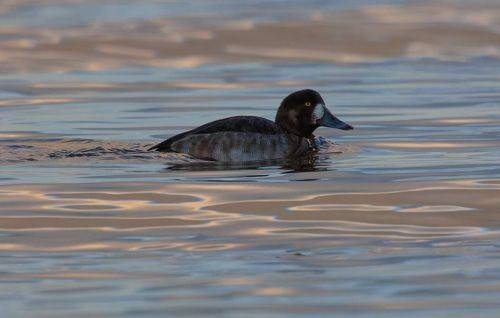 В зале отправления