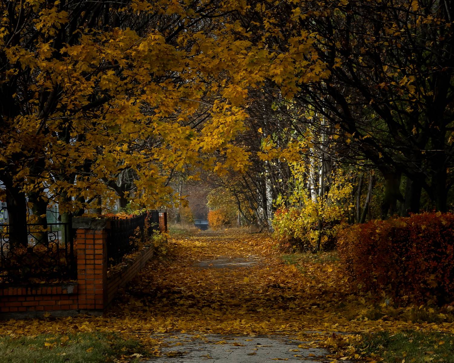 сквер, осень, пейзаж, Юрий Морозов