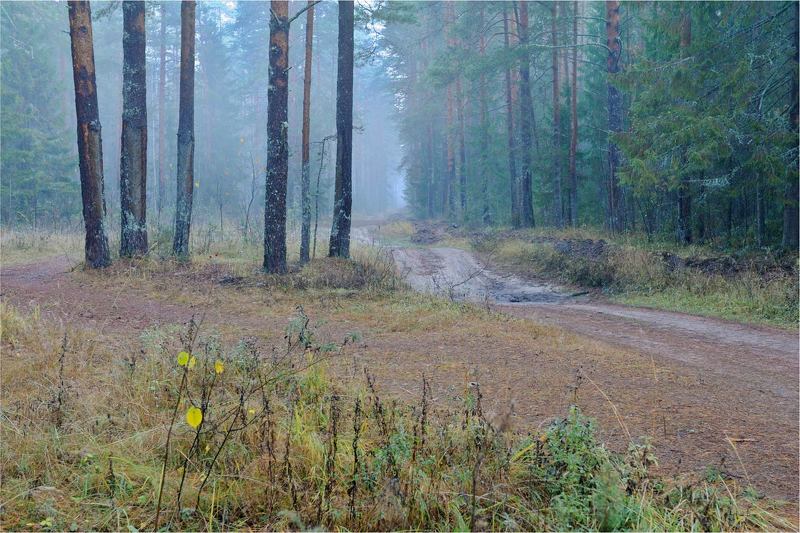 Осеннее утро фото превью