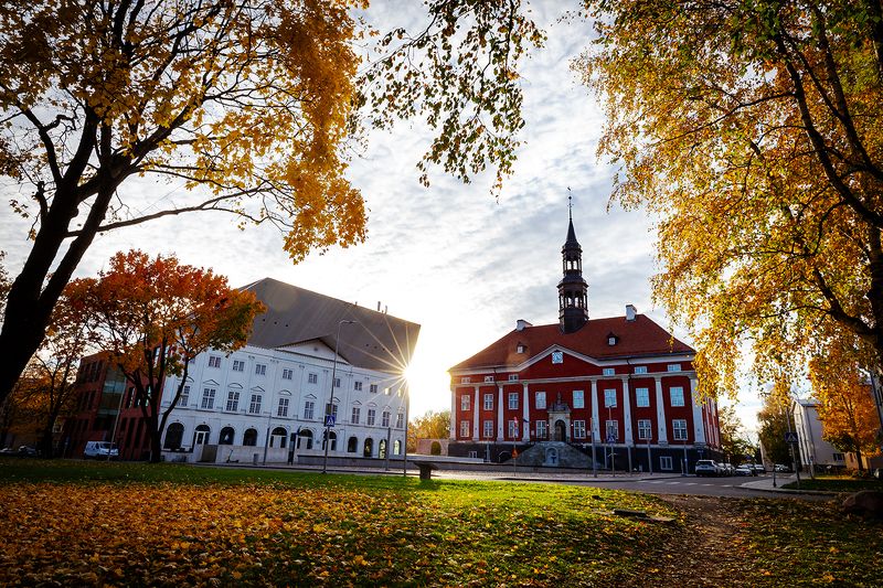 нарва ратуша площадь осень октябрь солнце Октябрь в Нарве фото превью