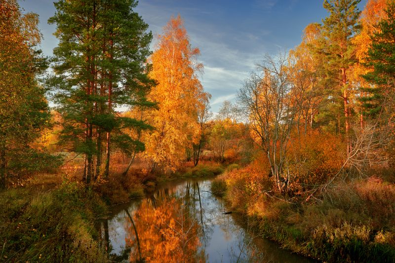 Краски времени золотого  ... фото превью