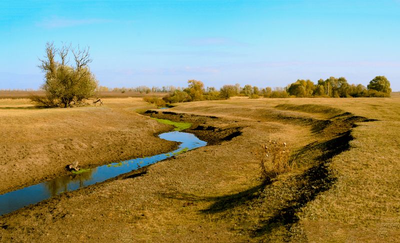 водопой, липецкая область, конь-колодезь, ручей, пастбище, осень Водопой фото превью