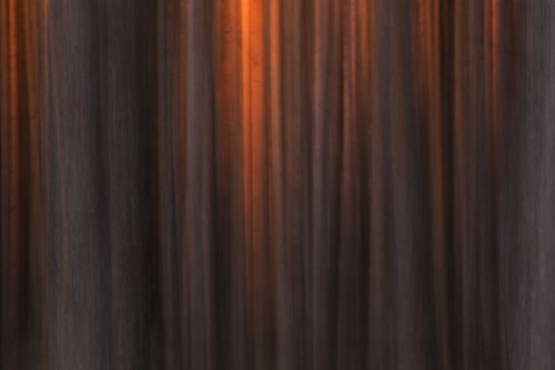 Свет пробился в лес фото превью