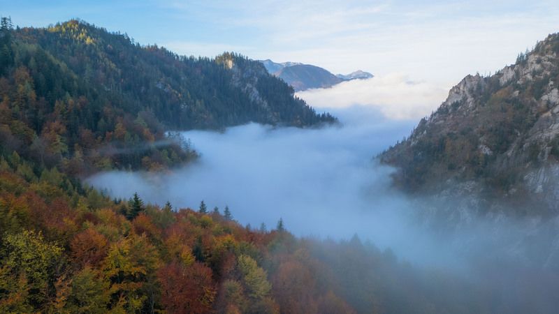 Осень фото превью