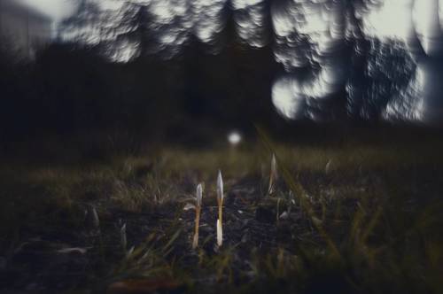 Явление таинств осенних.