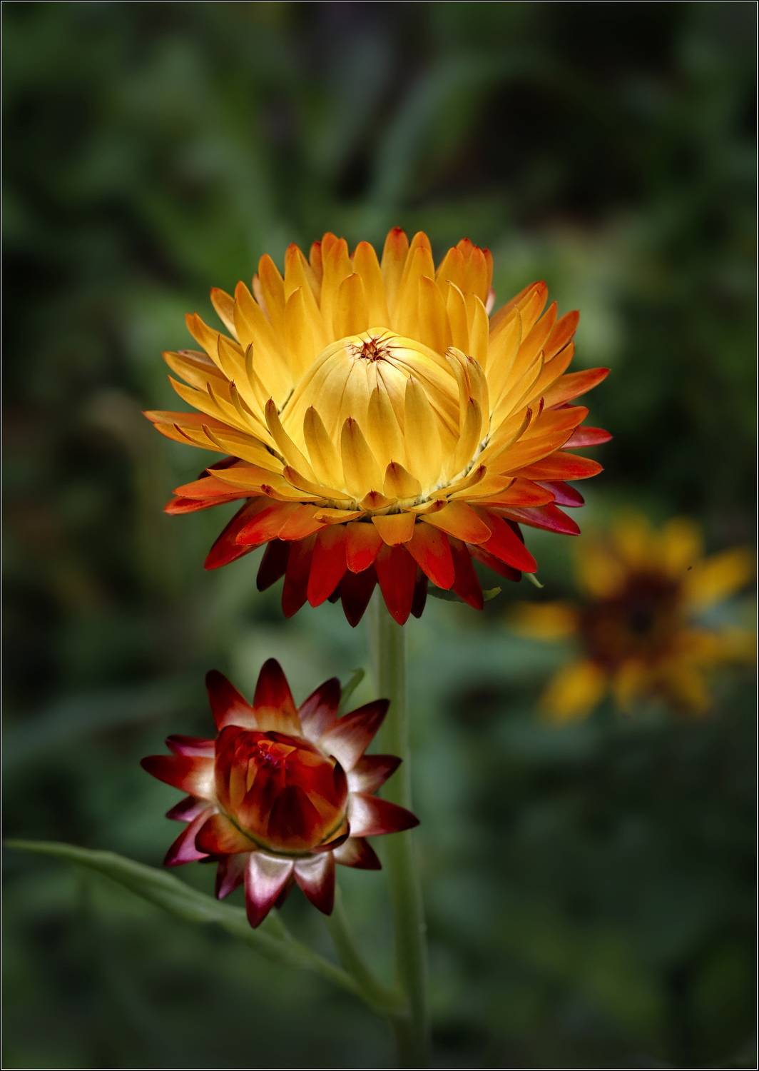 , Ушаков Валерий