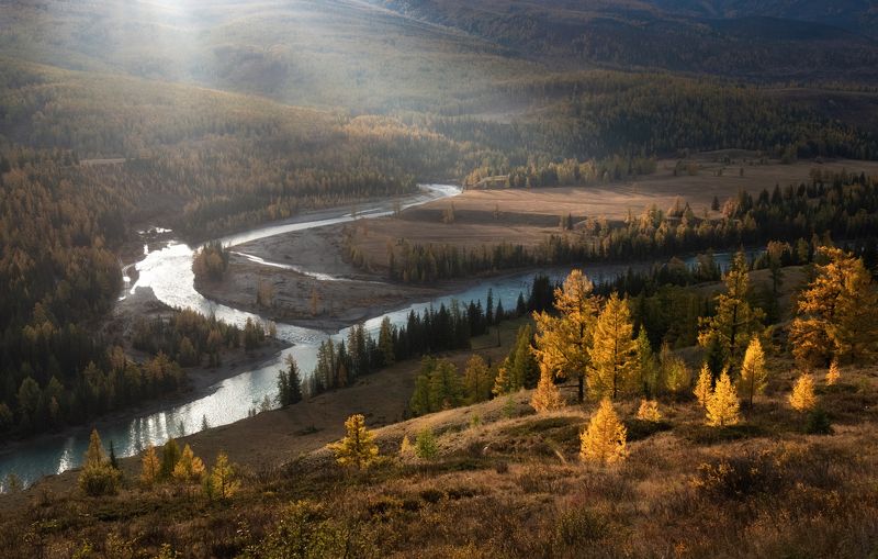 Свет дождя фото превью
