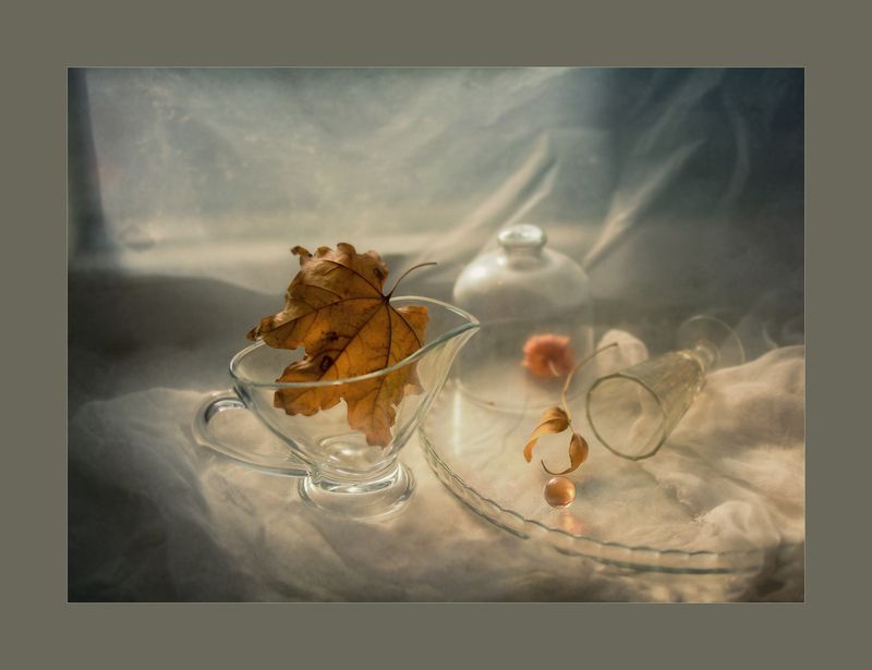 Солнечный денёк.. фото превью