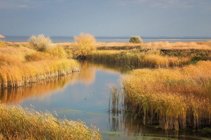 Залив... фото превью