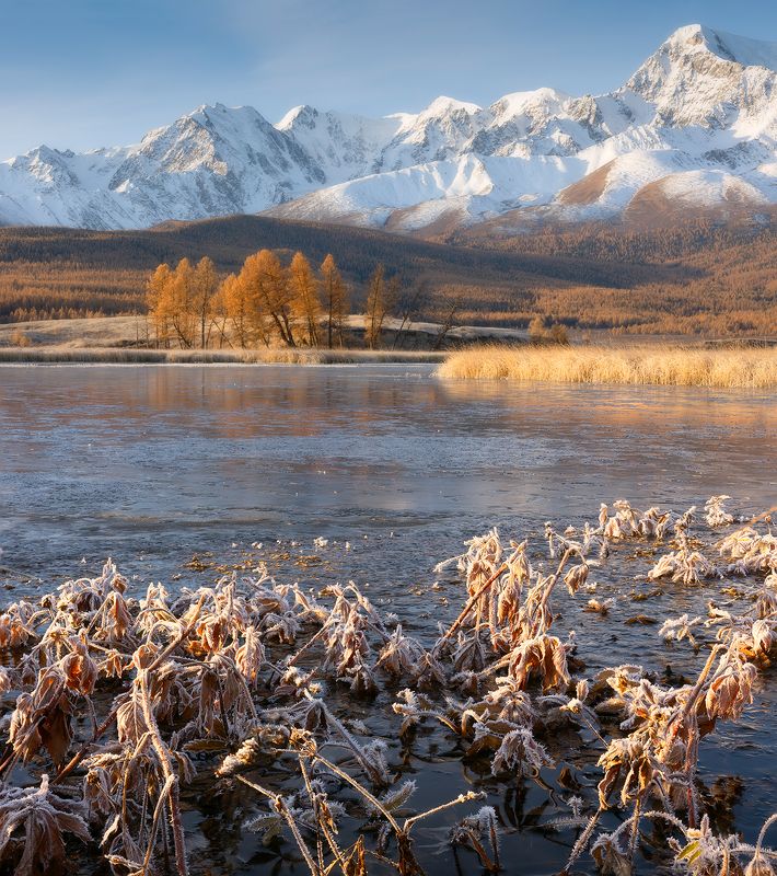 Утро на озере. фото превью