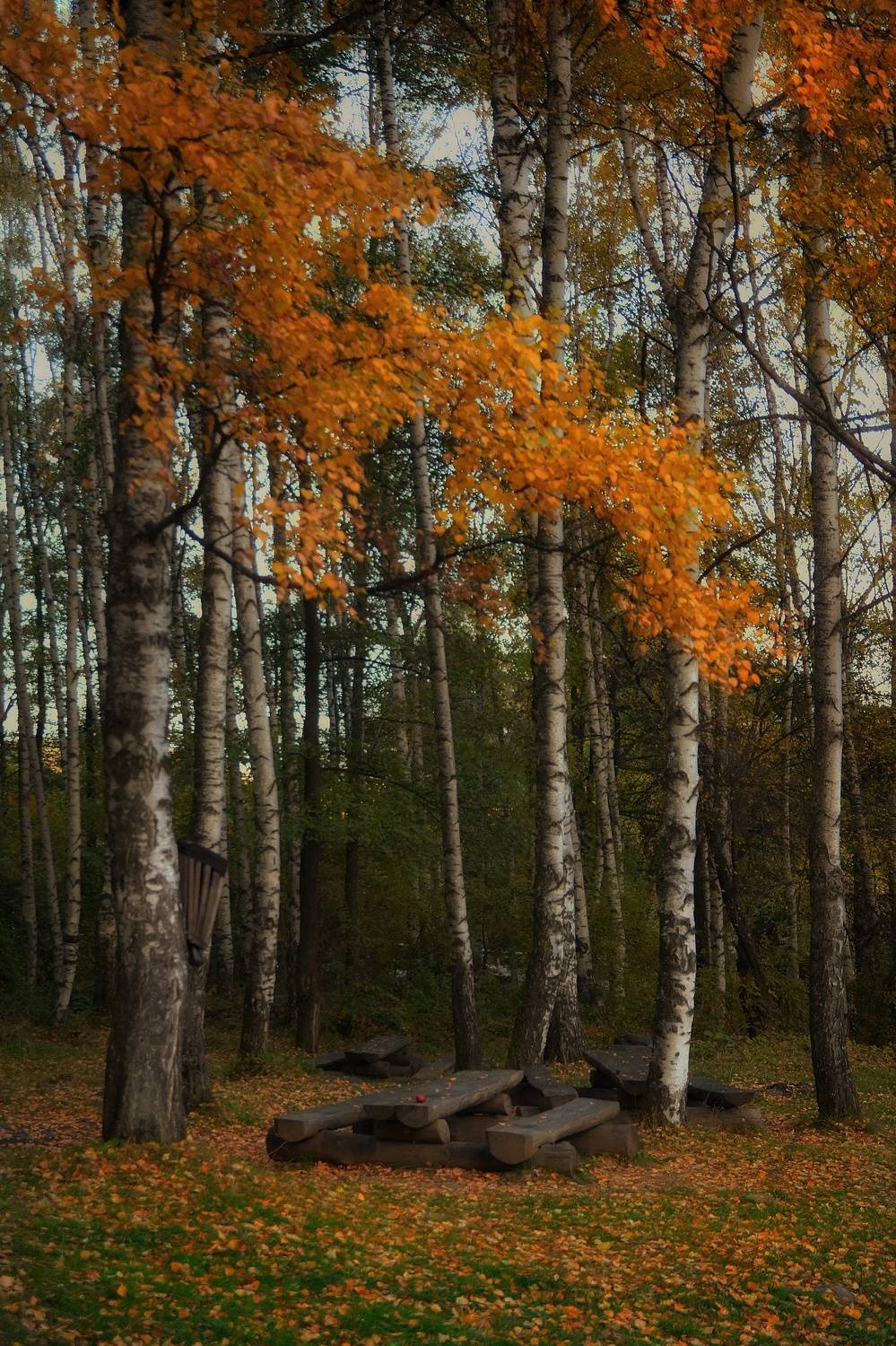 , Юлияна Стоянова