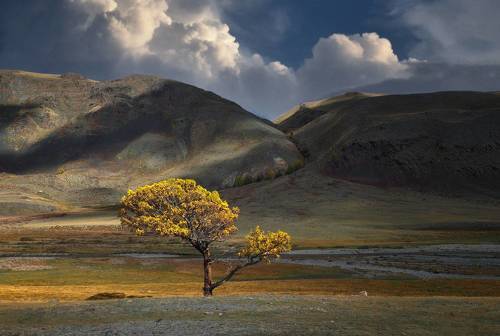 В гордом одиночестве