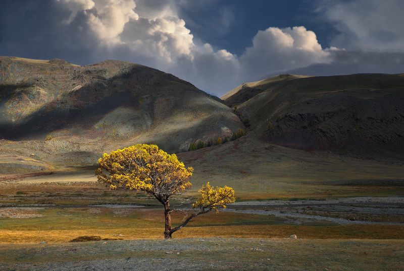 В гордом одиночестве фото превью