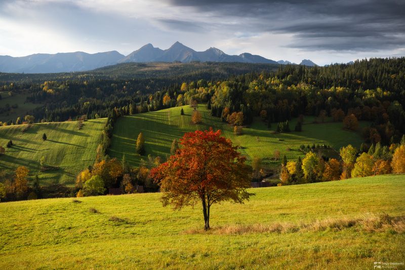 Morning in Tatras фото превью